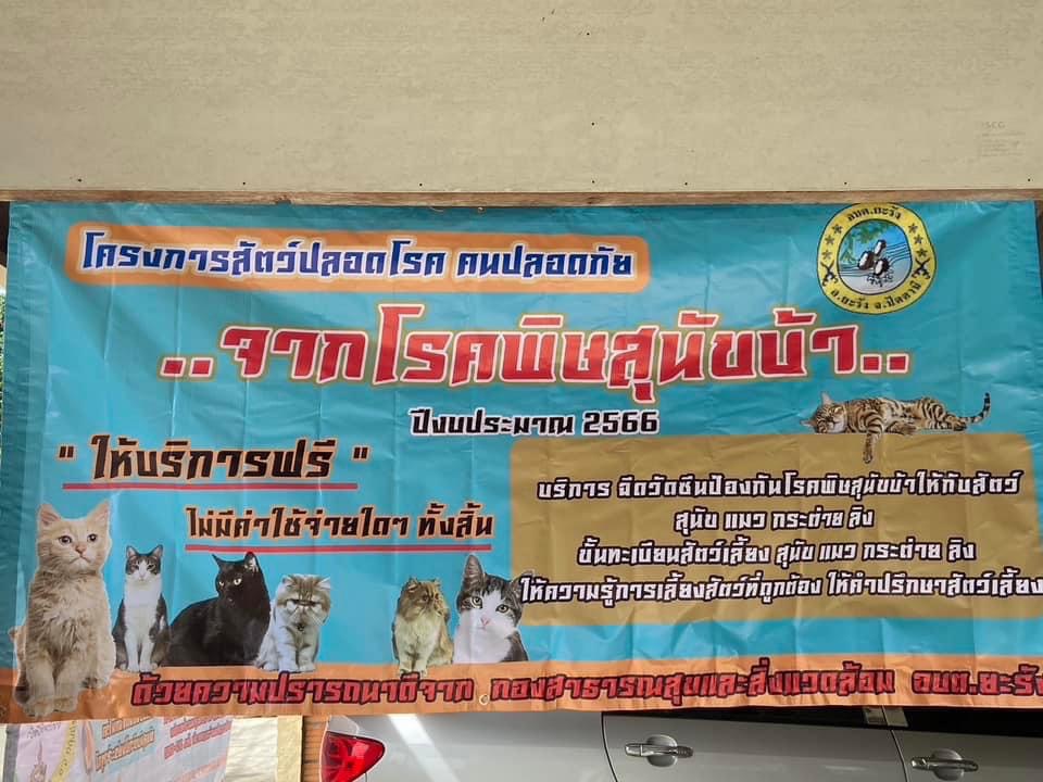 กองสาธารณสุขและสิ่งแวดล้อม ร่วมกับ ปศุสัตว์อำเภอยะรัง จัดอบรมเชิงปฏิบัติการแกนนำ ตัวแทนชุมชน และฉีดวัคซีนป้องกันโรคพิษสุนัขบ้าให้กับแมว